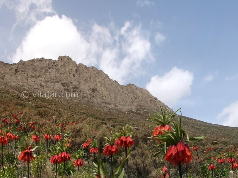 عکس اصلی شماره 1 - روستای دره بید خوانسار