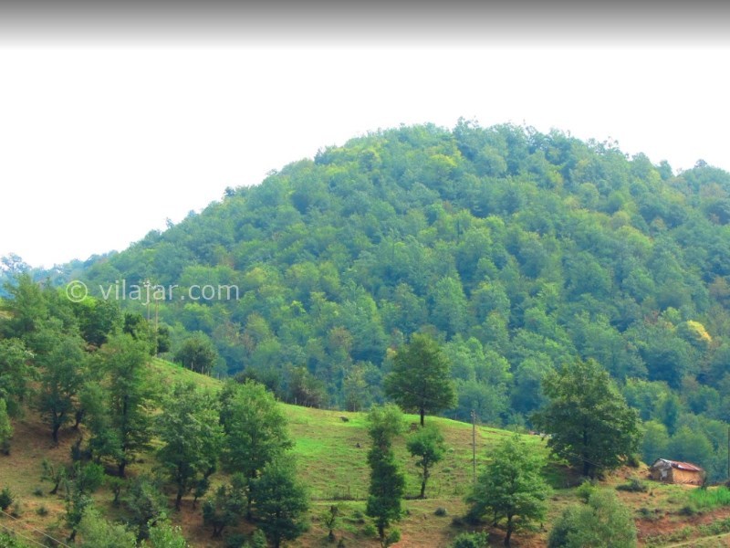 عکس شماره 34 - روستای جنگلی کیشون بن تالش