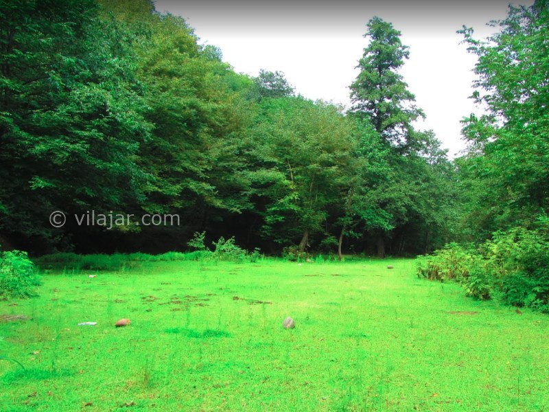 عکس شماره 38 - روستای جنگلی کیشون بن تالش