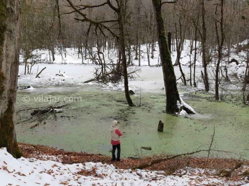 عکس شماره 4 - مرداب دیوک کلاردشت