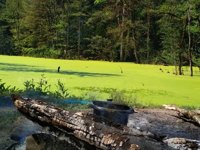 عکس شماره 5 - مرداب دیوک کلاردشت