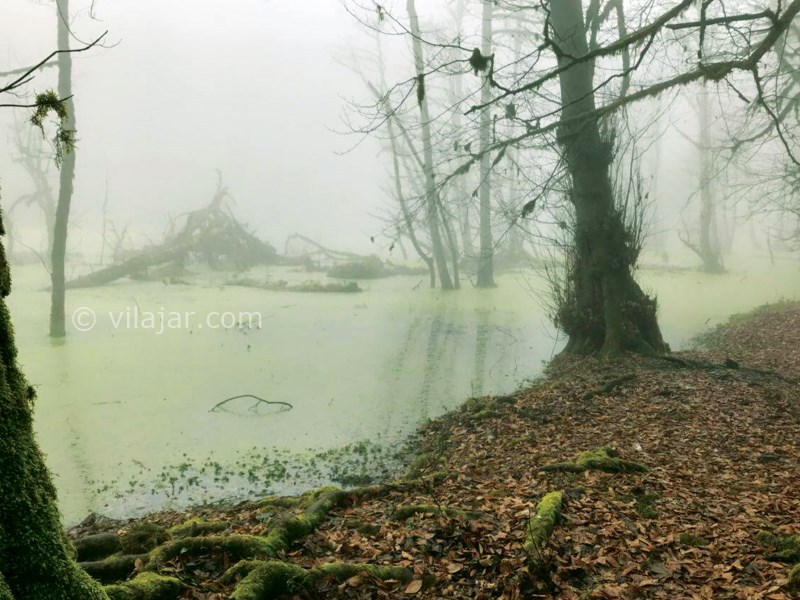 عکس شماره 6 - مرداب دیوک کلاردشت
