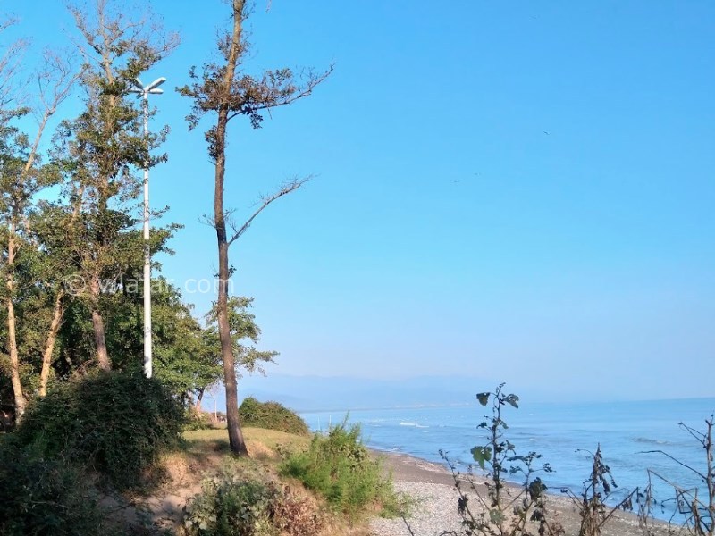 عکس شماره 36 - پارک جنگلی ساحلی قروق