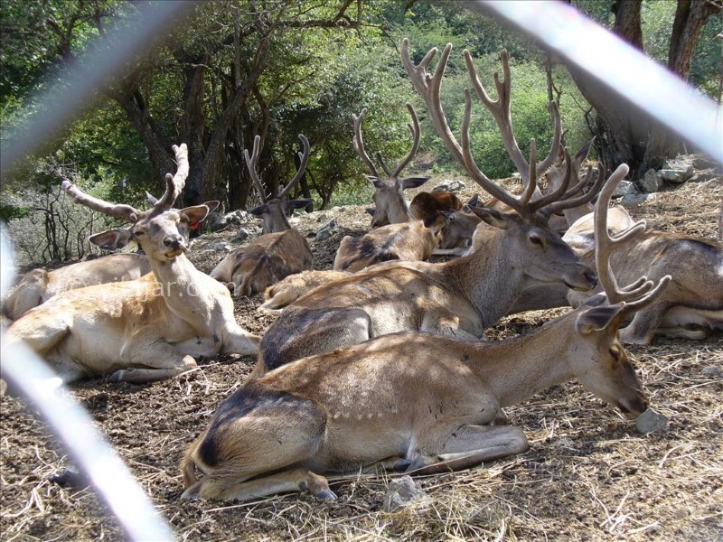 عکس شماره 3 - روستای گردشگری آینالو