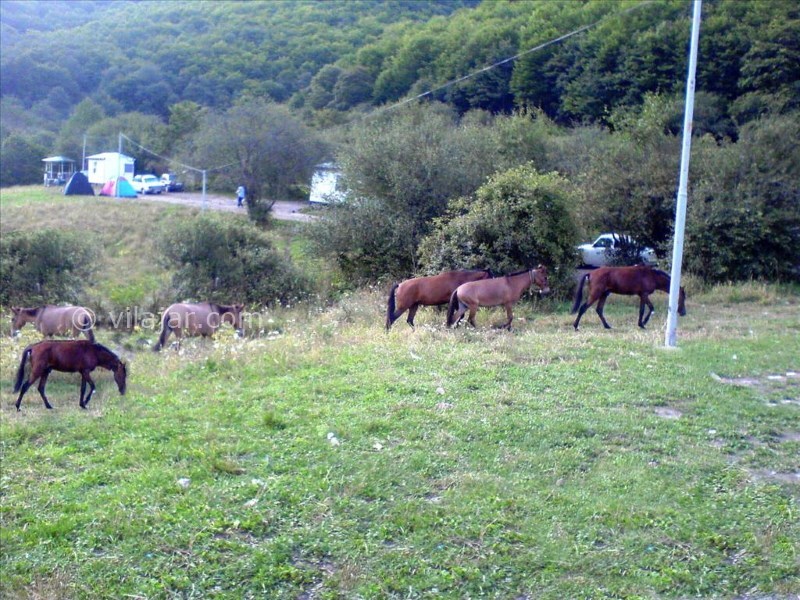 عکس شماره 7 - روستای گردشگری آینالو