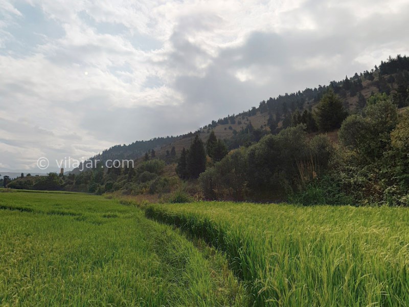 عکس شماره 20 - رستم آباد گیلان