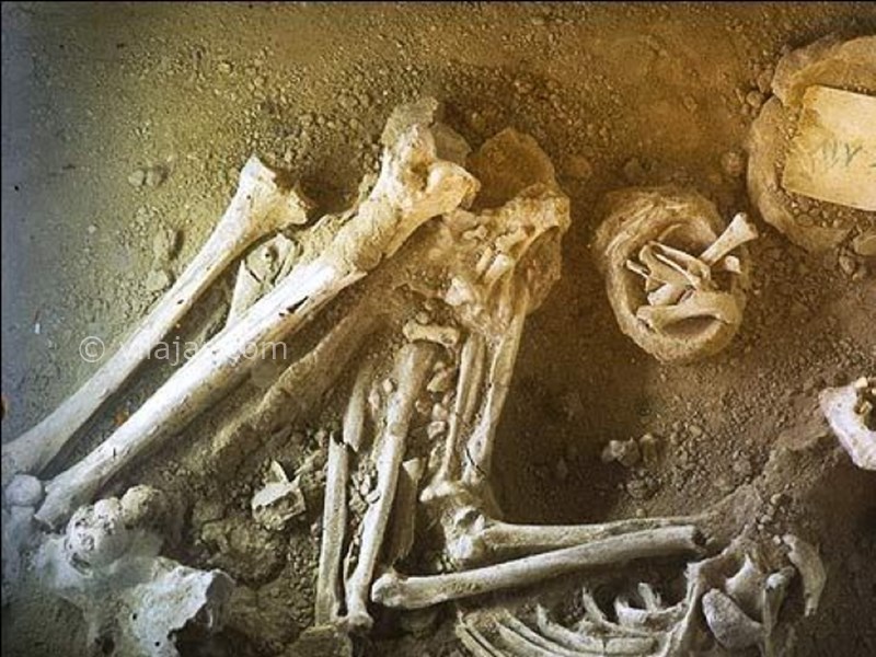 عکس شماره 26 - رستم آباد گیلان