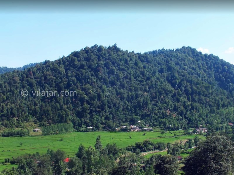 عکس شماره 22 - پارک جنگلی سیاهداران تالش