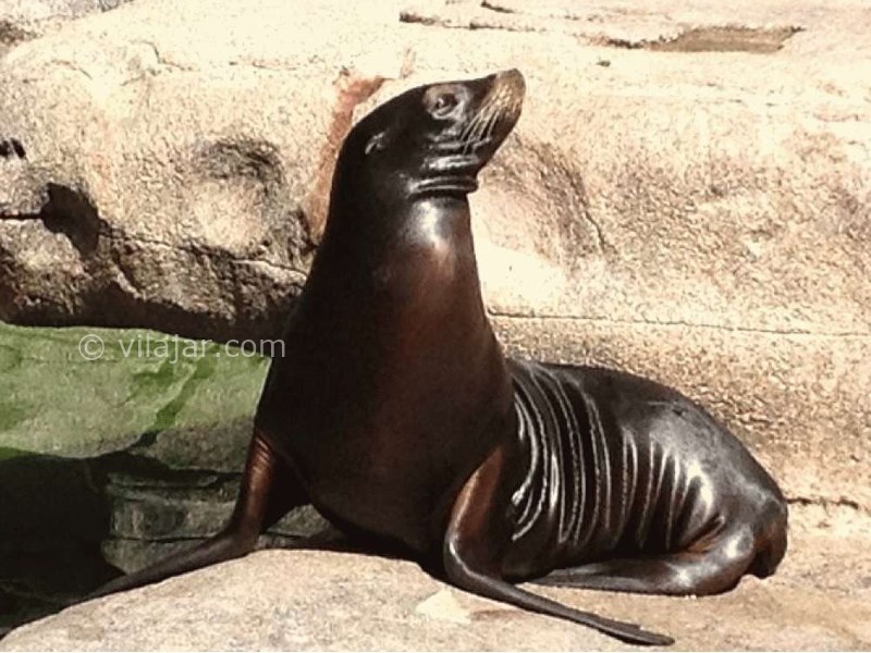 عکس شماره 27 - شهرک نمک آبرود کجاست؟