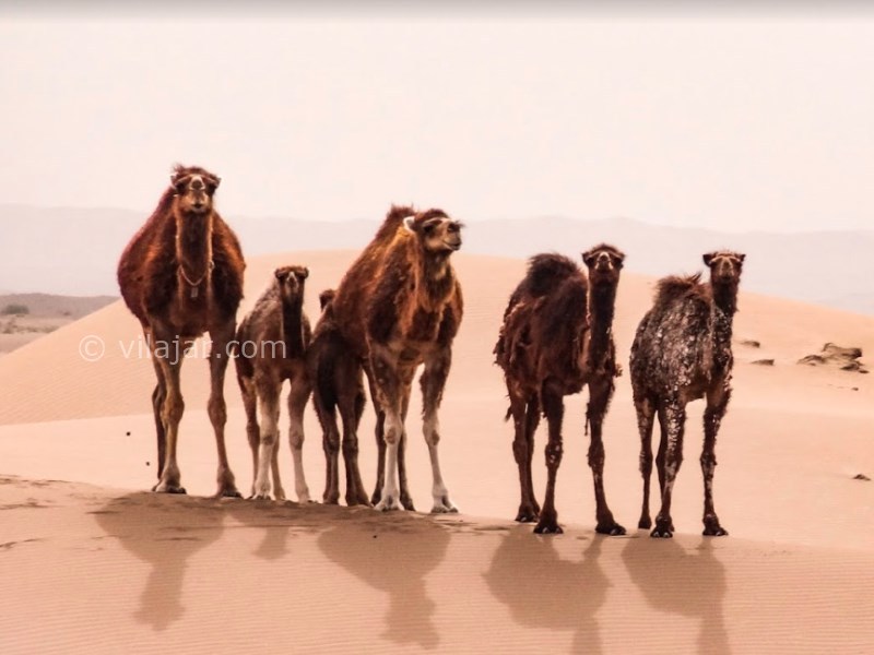 عکس شماره 5 - کویر پلوند فردوس