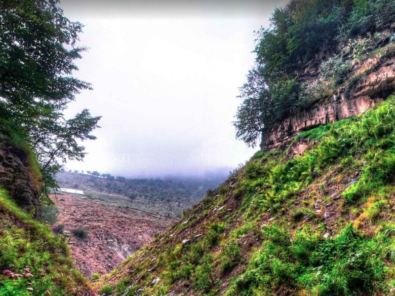 عکس شماره 11 - منطقه ییلاقی چلاو آمل