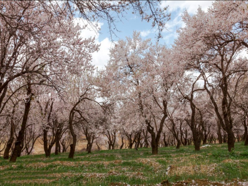 عکس شماره 31 - جاذبه های گردشگری شهر سامان