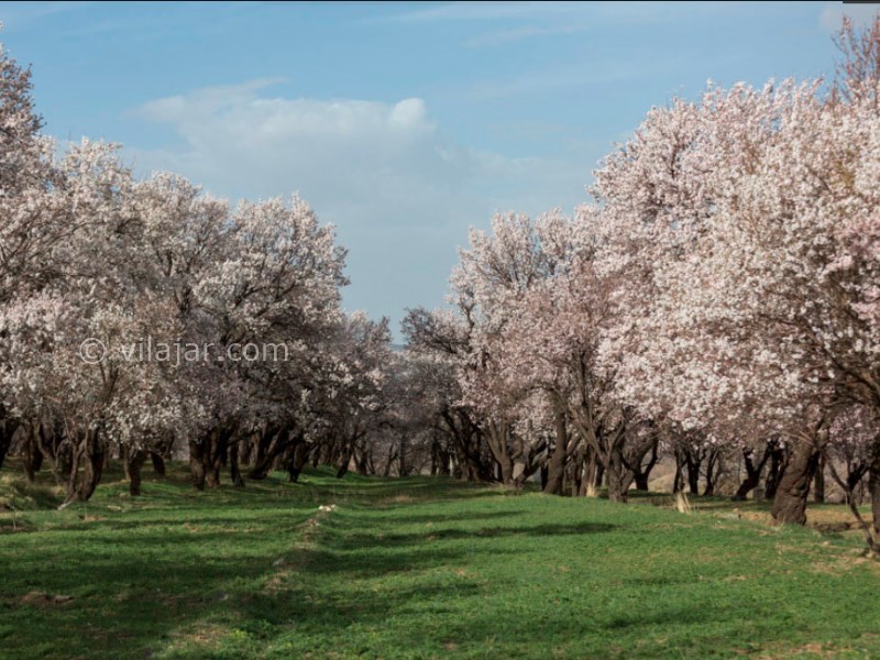 عکس شماره 36 - جاذبه های گردشگری شهر سامان