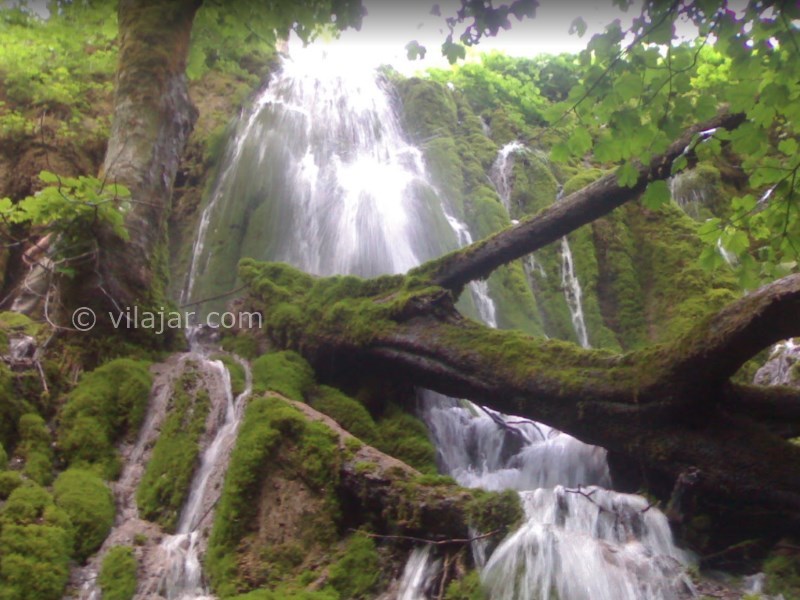 عکس شماره 10 - جنگل سنگده (جنگل فریم)