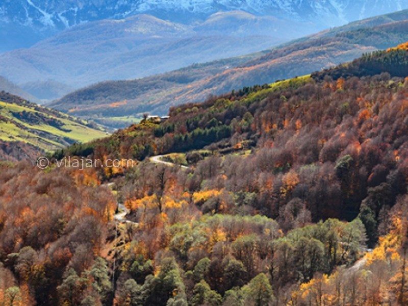 عکس شماره 11 - جنگل سنگده (جنگل فریم)