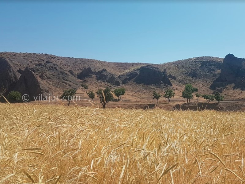 عکس شماره 4 - روستای نامق کاشمر