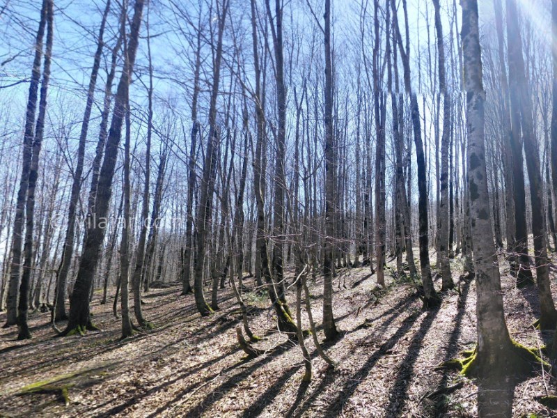 عکس شماره 9 - جاده توریستی اسالم به خلخال