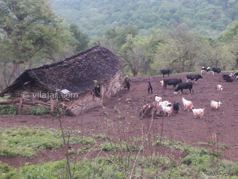 عکس شماره 8 - روستای بلیران کجاست؟