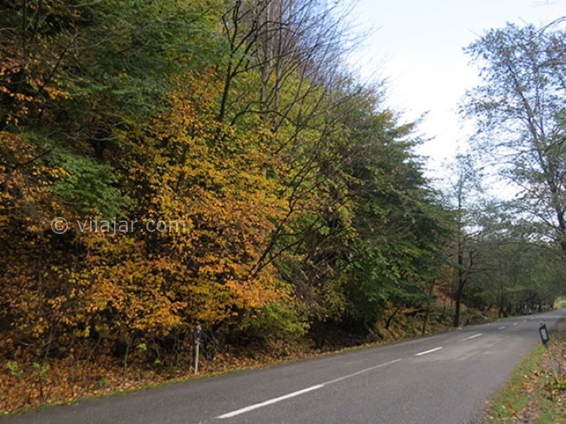 عکس شماره 7 - جاده دوهزار تنکابن