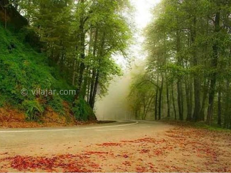 عکس شماره 8 - جاده دوهزار تنکابن