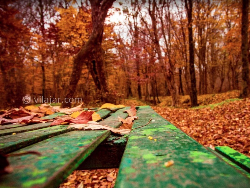 عکس شماره 25 - پارک جنگلی قرق گرگان