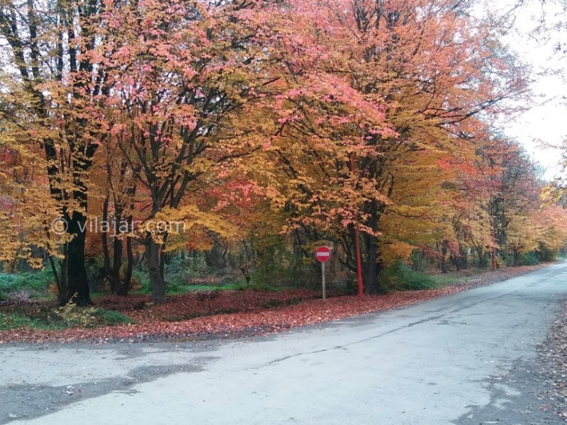عکس شماره 27 - پارک جنگلی قرق گرگان