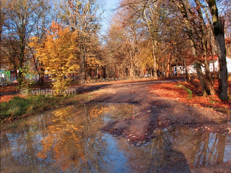 عکس شماره 29 - پارک جنگلی قرق گرگان