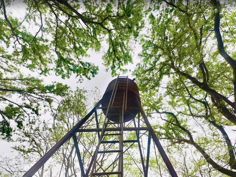 عکس شماره 31 - پارک جنگلی قرق گرگان