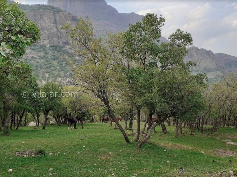 عکس شماره 14 - تالاب ازگن دورود