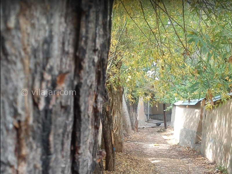 عکس شماره 7 - شهمیرزاد، بهشتی در کویر