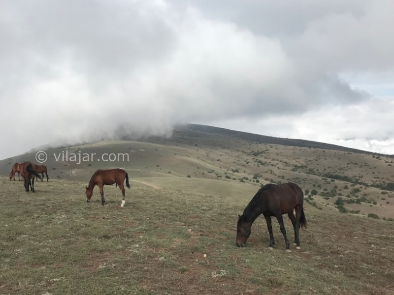 عکس شماره 24 - روستای گرسماسر نزدیک رامسر