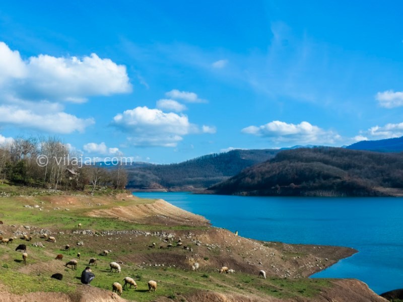 عکس شماره 7 - جنگل و دریاچه لفور