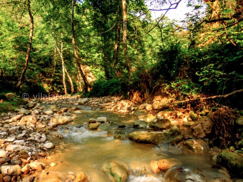 عکس شماره 10 - جنگل و دریاچه لفور