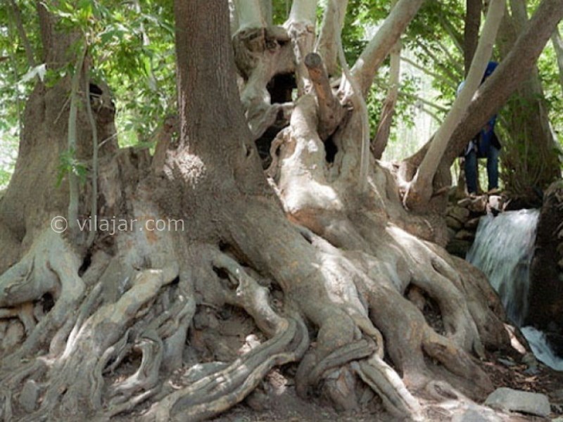 عکس شماره 5 - روستای اوره نطنز