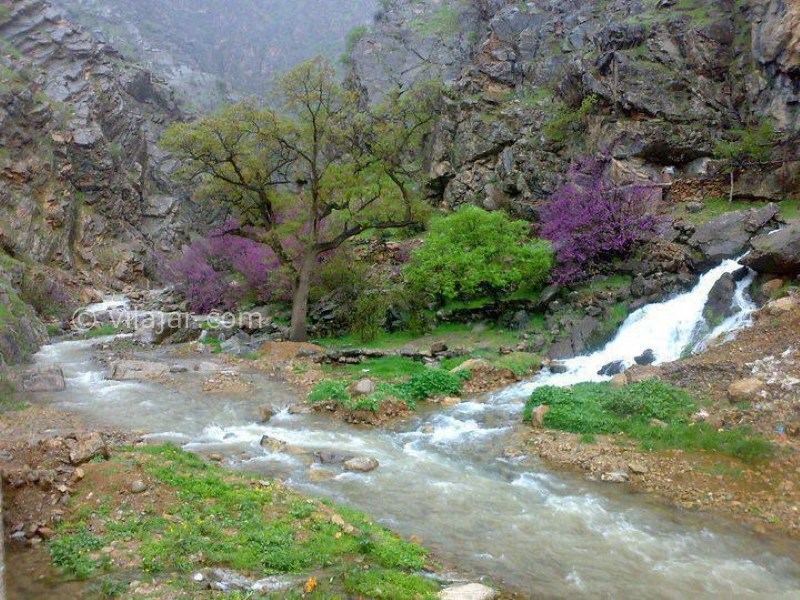عکس شماره 8 - روستای بلبر اورامان کردستان