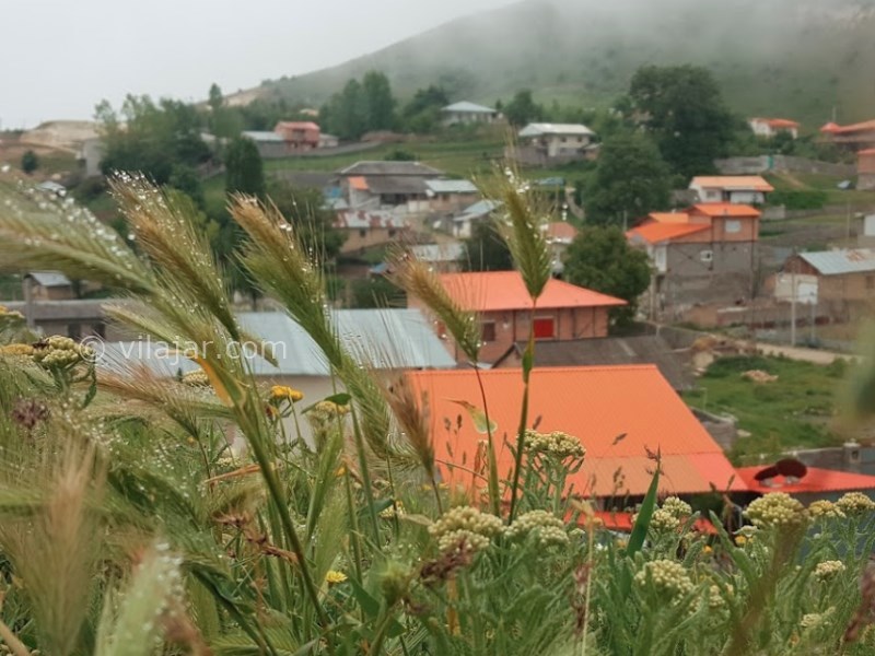 عکس شماره 10 - منطقه هزار جریب کجاست؟