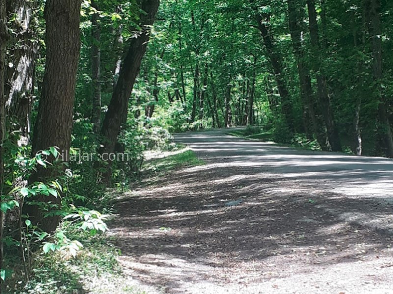 عکس شماره 14 - منطقه هزار جریب کجاست؟