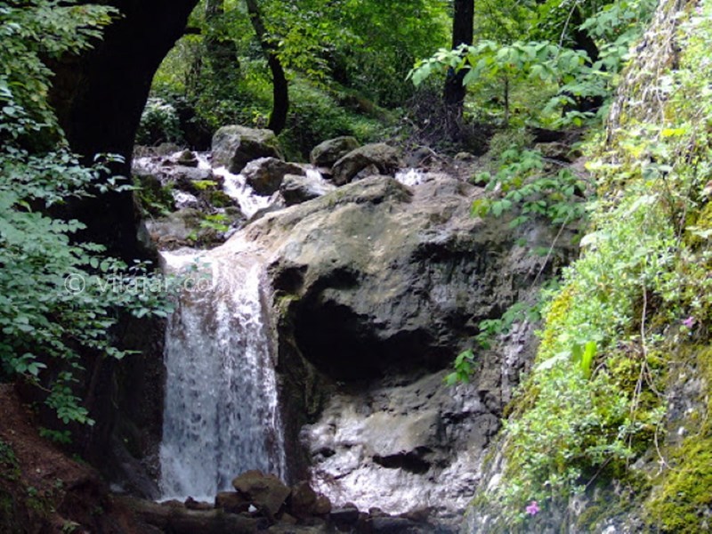 عکس شماره 19 - منطقه هزار جریب کجاست؟