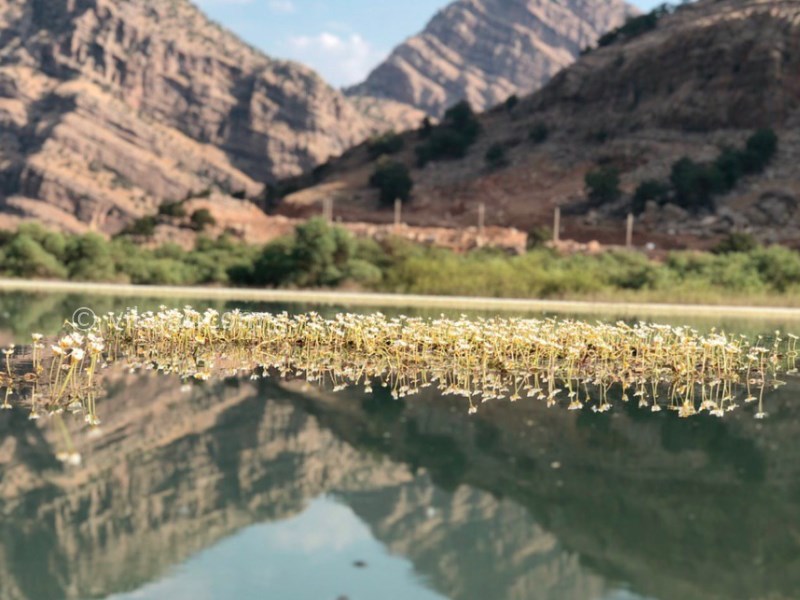 عکس شماره 9 - آبشار نگین دشت شیمبار