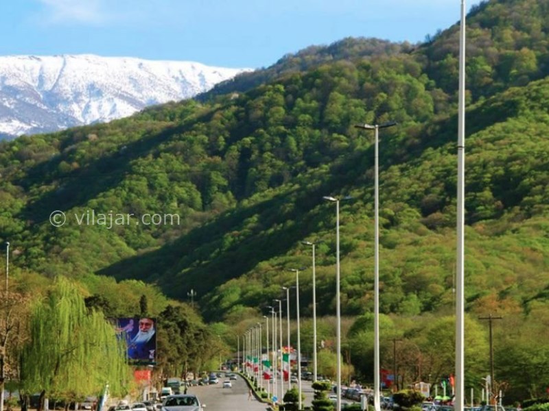 عکس شماره 5 - جنگل ناهار خوران گرگان