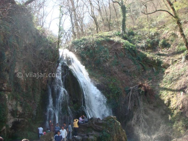 عکس شماره 6 - جنگل ناهار خوران گرگان