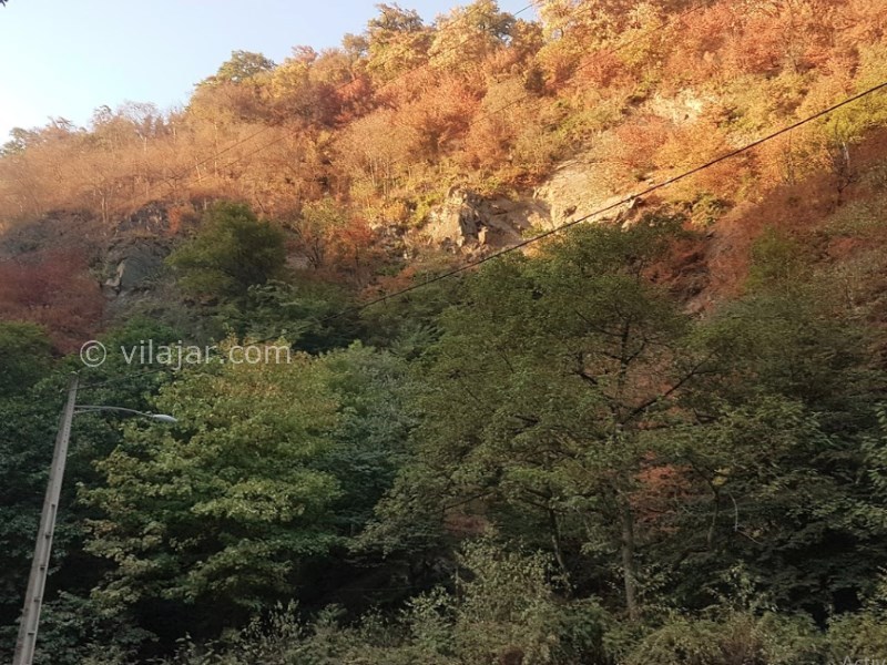 عکس شماره 7 - جنگل ناهار خوران گرگان