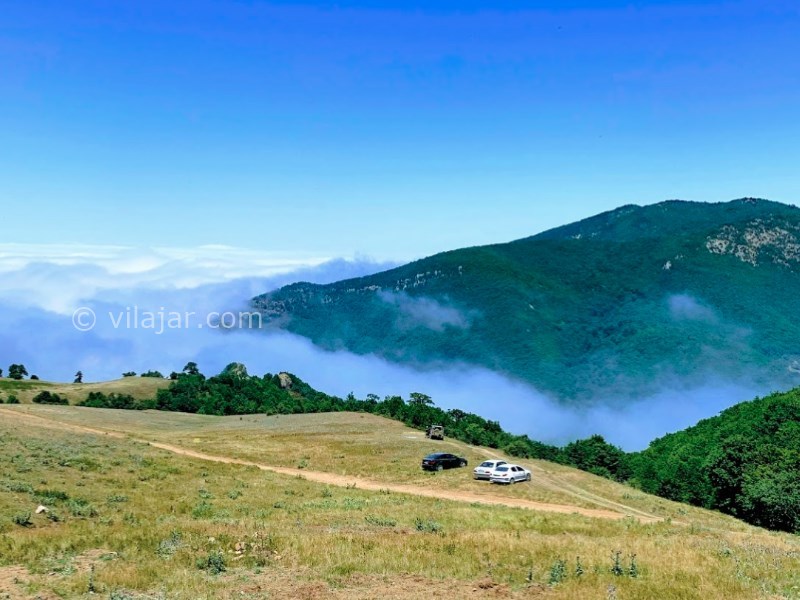 عکس شماره 7 - جنگل ابر شاهرود