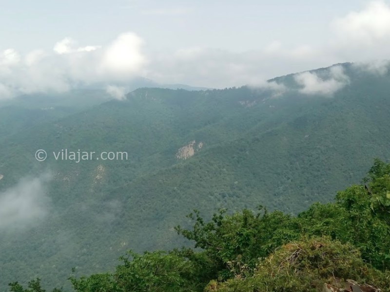 عکس شماره 8 - جنگل ابر شاهرود