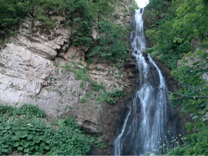 عکس شماره 9 - جنگل ابر شاهرود