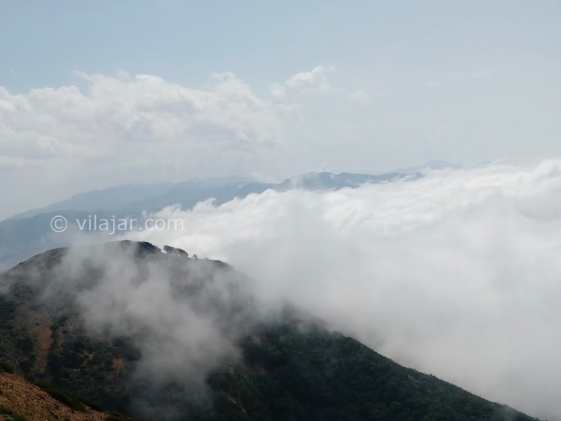 عکس شماره 11 - جنگل ابر شاهرود