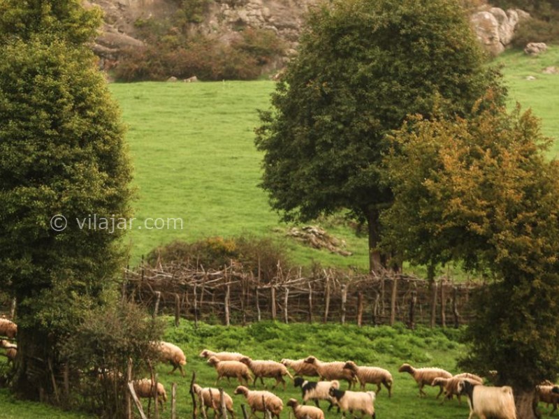 عکس شماره 12 - روستا بره سر و دریاچه ویستان