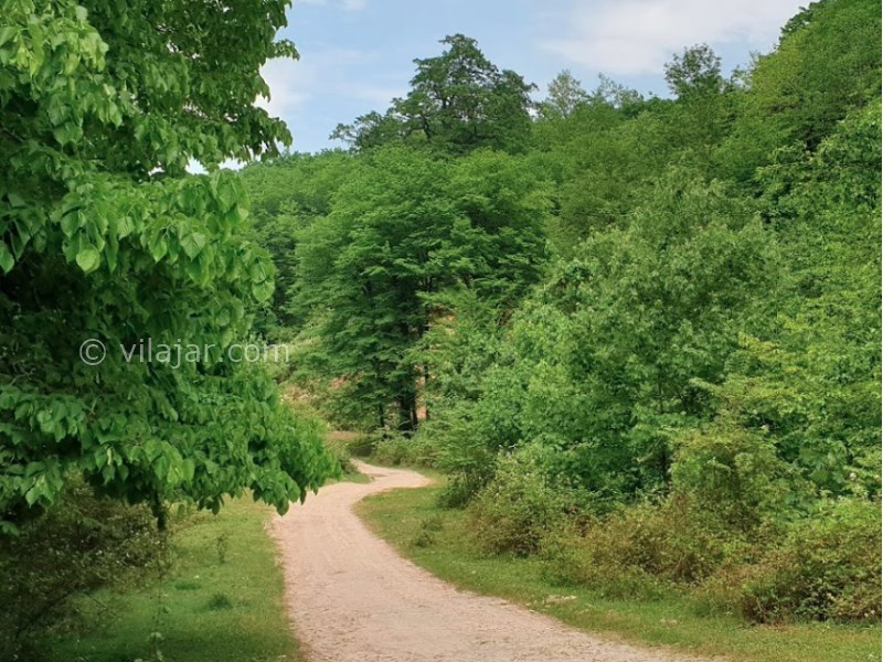عکس شماره 8 - پارک جنگلی خانیکان
