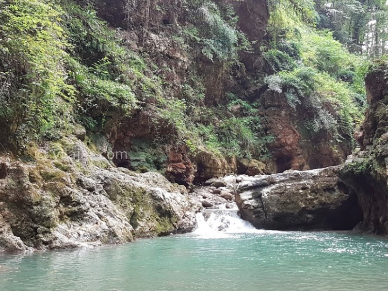 عکس شماره 5 - تنگه تنگ دار در نوشهر