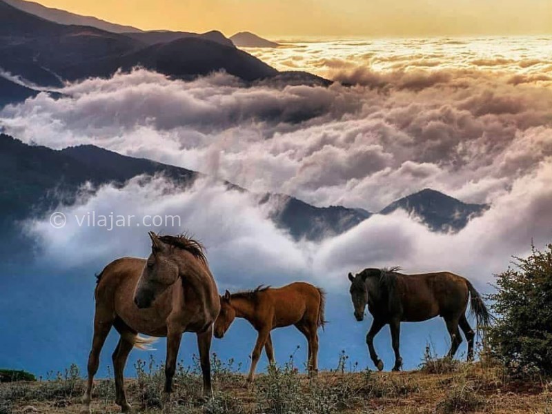 عکس اصلی شماره 1 - روستای فیلبند، بام مازندران